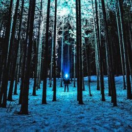 Темный зимний лес фон