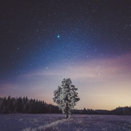 Зимнее небо ночью арт