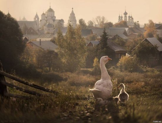 Деревенская эстетика заставка