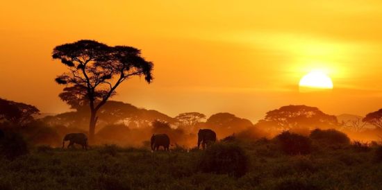 Природа африки