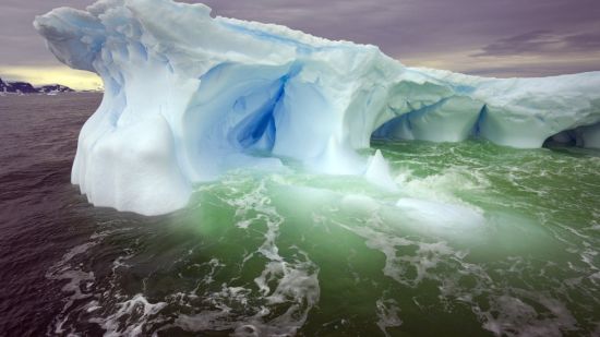 Природа антарктиды