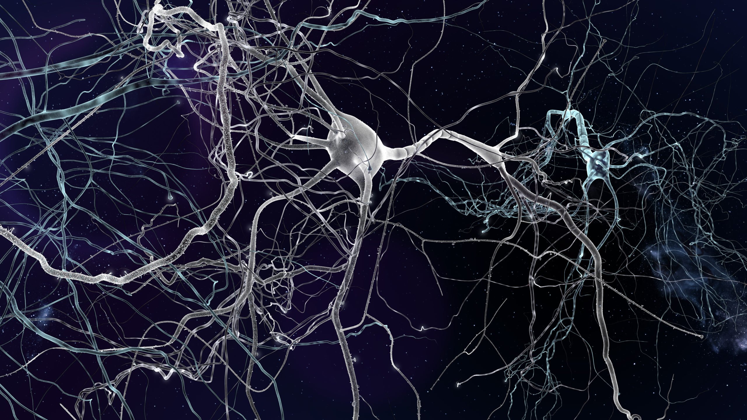 Умершие клетки мозга. Нейрон клетка головного мозга. Нейронная система мозга. Нейронные связи в мозге. Нейронные сети головного мозга.
