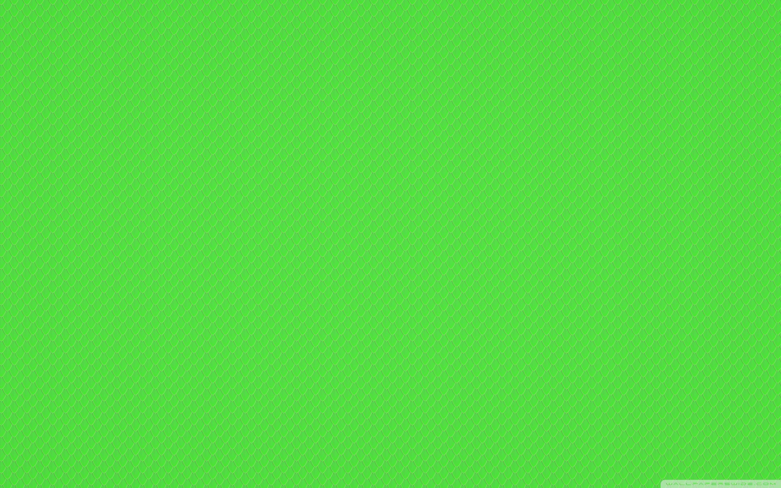 Слабо зеленый цвет. Фон однотонный. Зеленый фон. Зеленый однотонный. Светло зеленый фон.