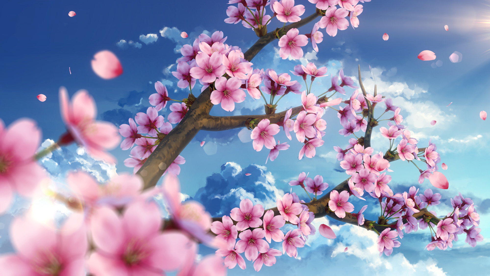 Sakura sakura download. Сакура черри блоссом. Черри блоссом дерево. Черри блоссом арт. Сакура черри блоссом дерево.