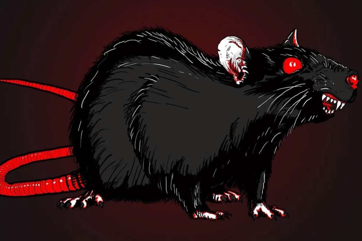 Devil rat. Крыса арт.