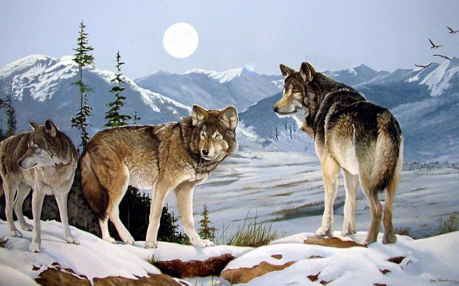 Природу про волков. Парк Джаспер стая Волков. Пейзаж с волком. Красивые пейзажи с волками. Волк в природе.