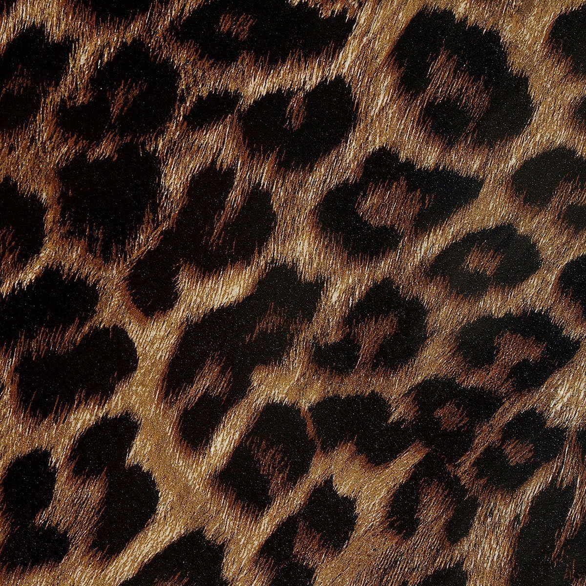 Цвет леопарда