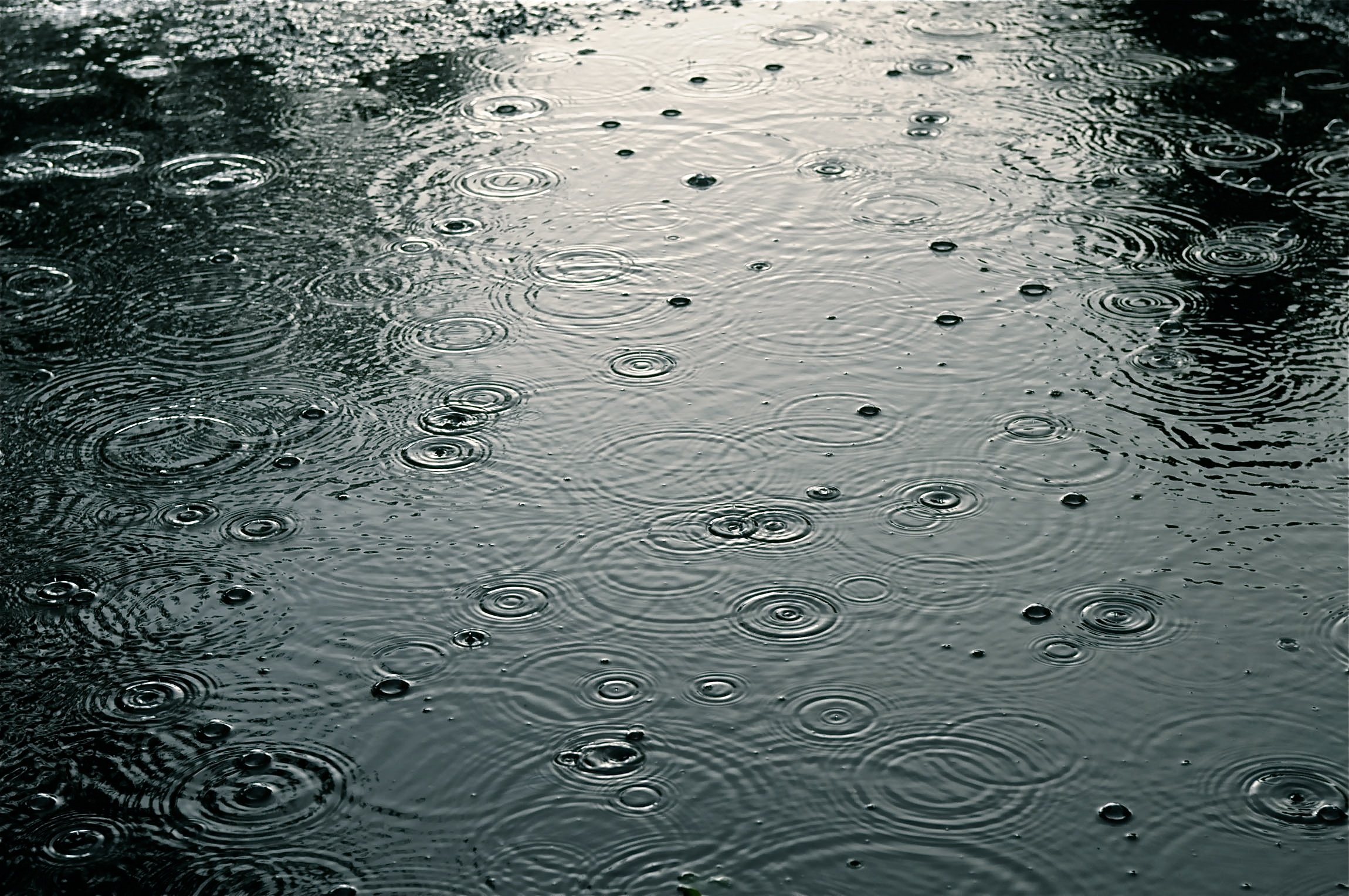 Вода дождик. Дождь на воде. Капли на асфальте. Капли дождя на воде. Дождь лужи.