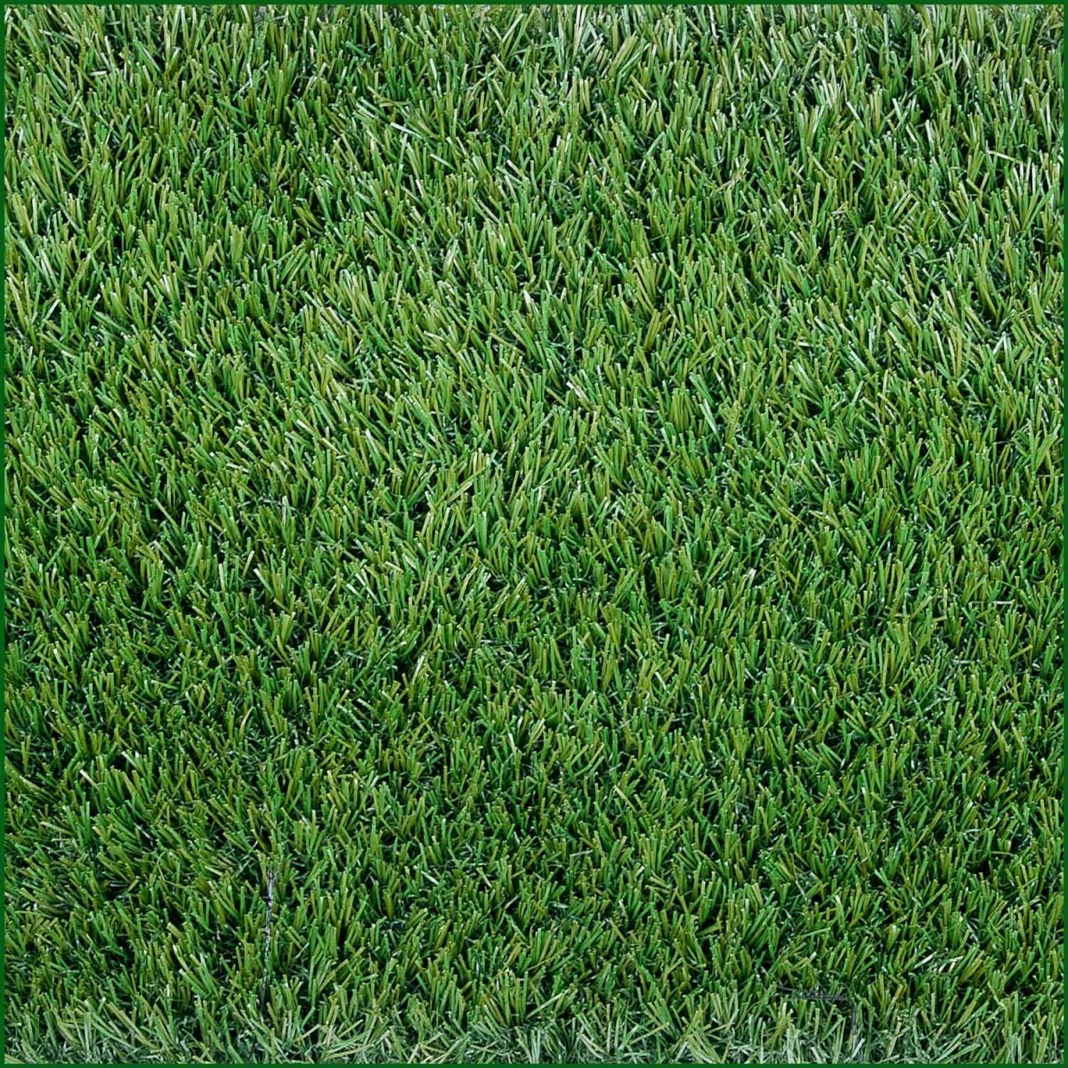 фото травы вид сверху