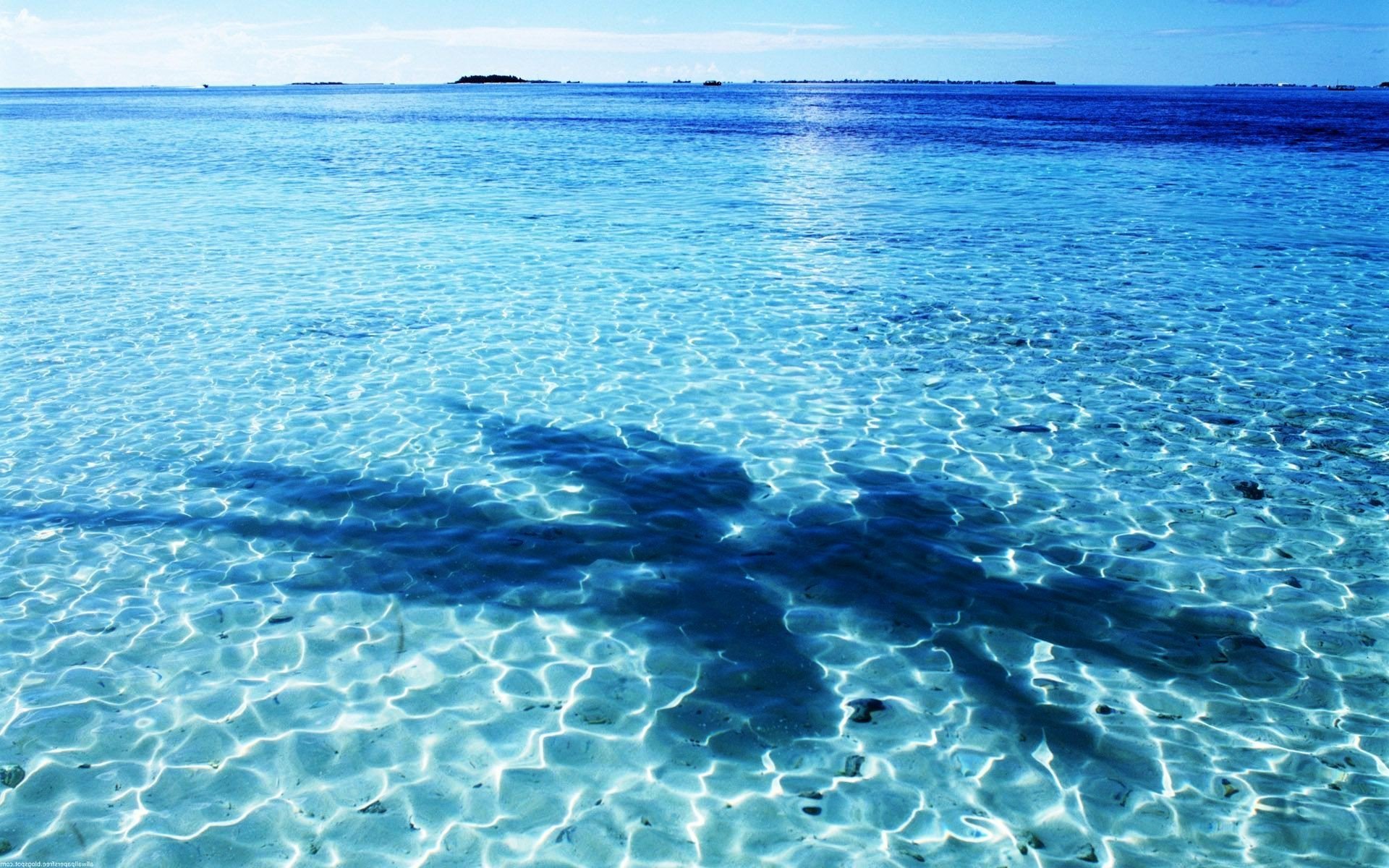 Открыть глаза в морской воде. Прозрачное море. Голубое море. Голубое прозрачное море. Прозрачная вода.