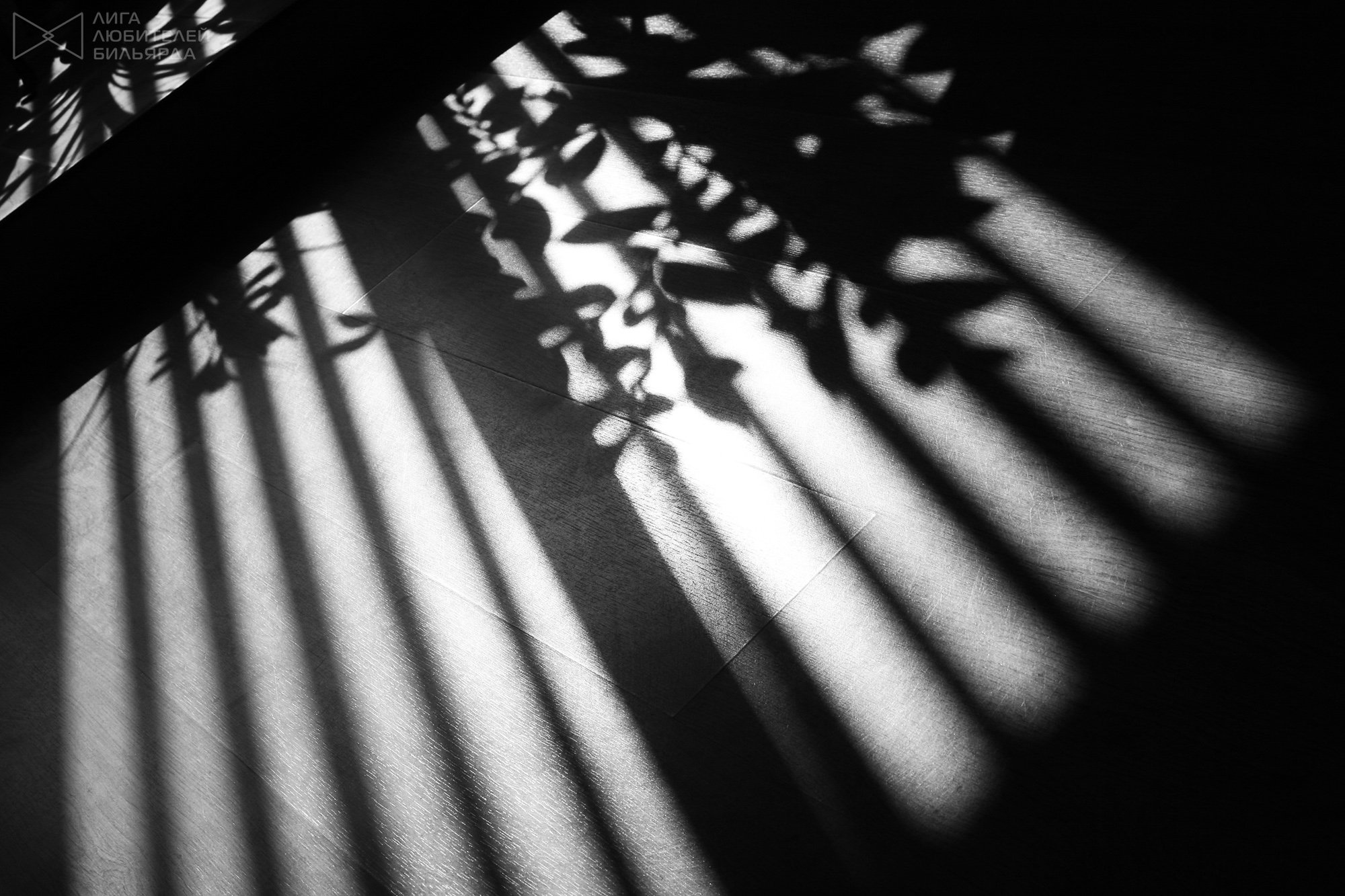 Window shadow. Тень от жалюзи. Тень на стене. Тень от окна. Тень от окна на стене.