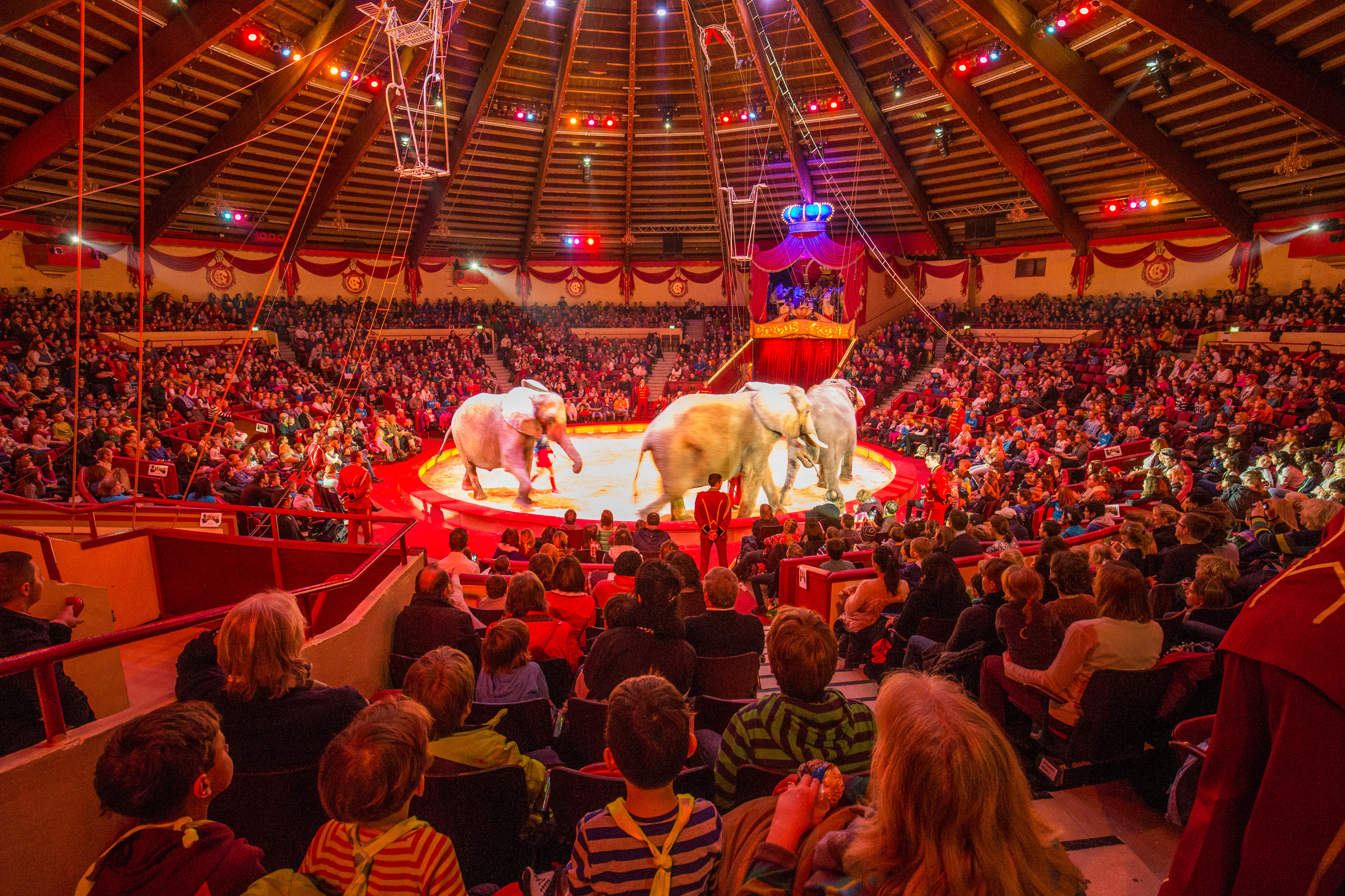 Мягкий цирк. Circus Krone Мюнхен. Цирк Кроне в Мюнхене. Гитлер в цирке Кроне. Циркус крон Германия.