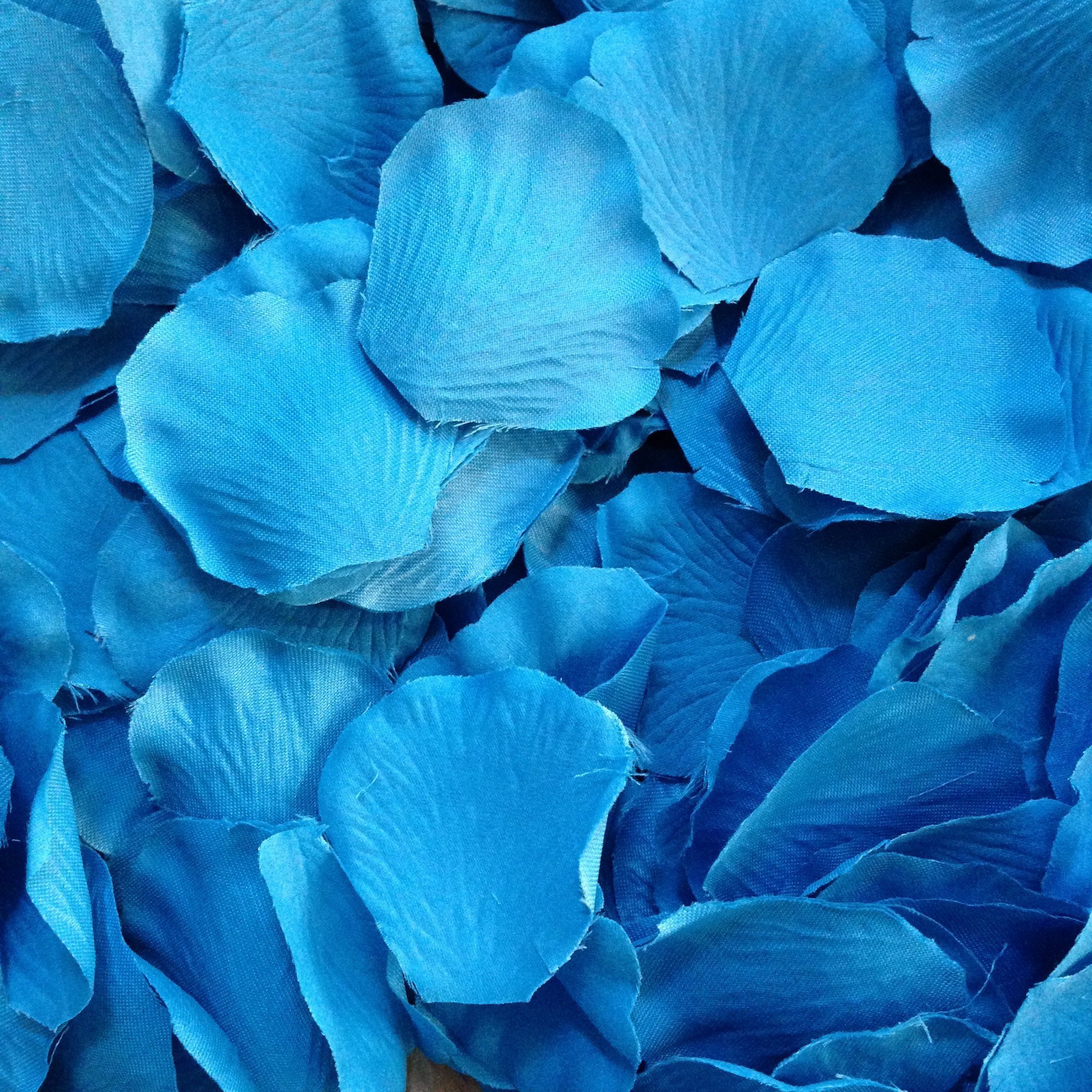 Голубая синь. Бирюзовые цветы. Бирюзовый цвет. Голубые обои. Бирюза цвет.