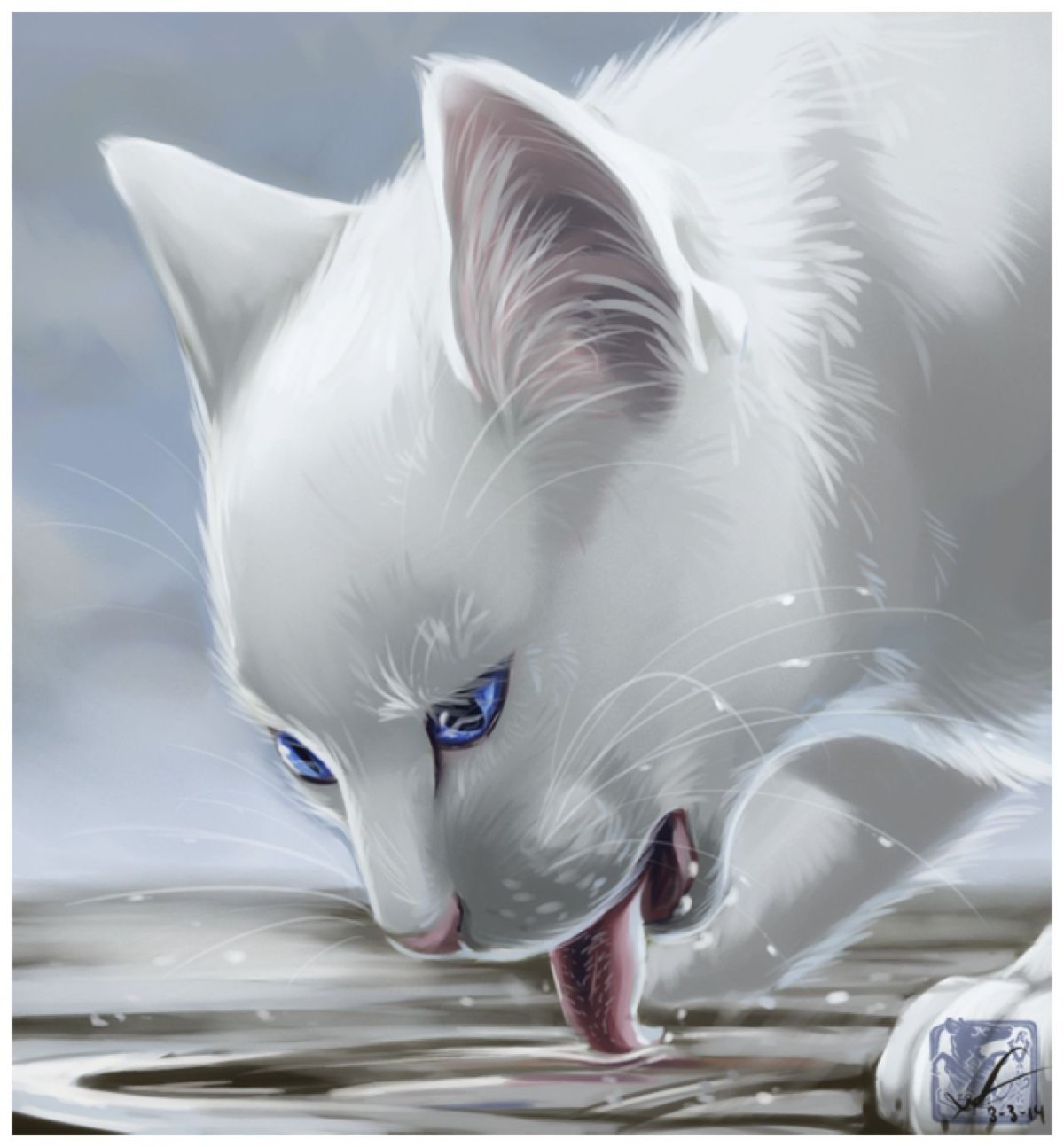 Коты Воители белая кошка