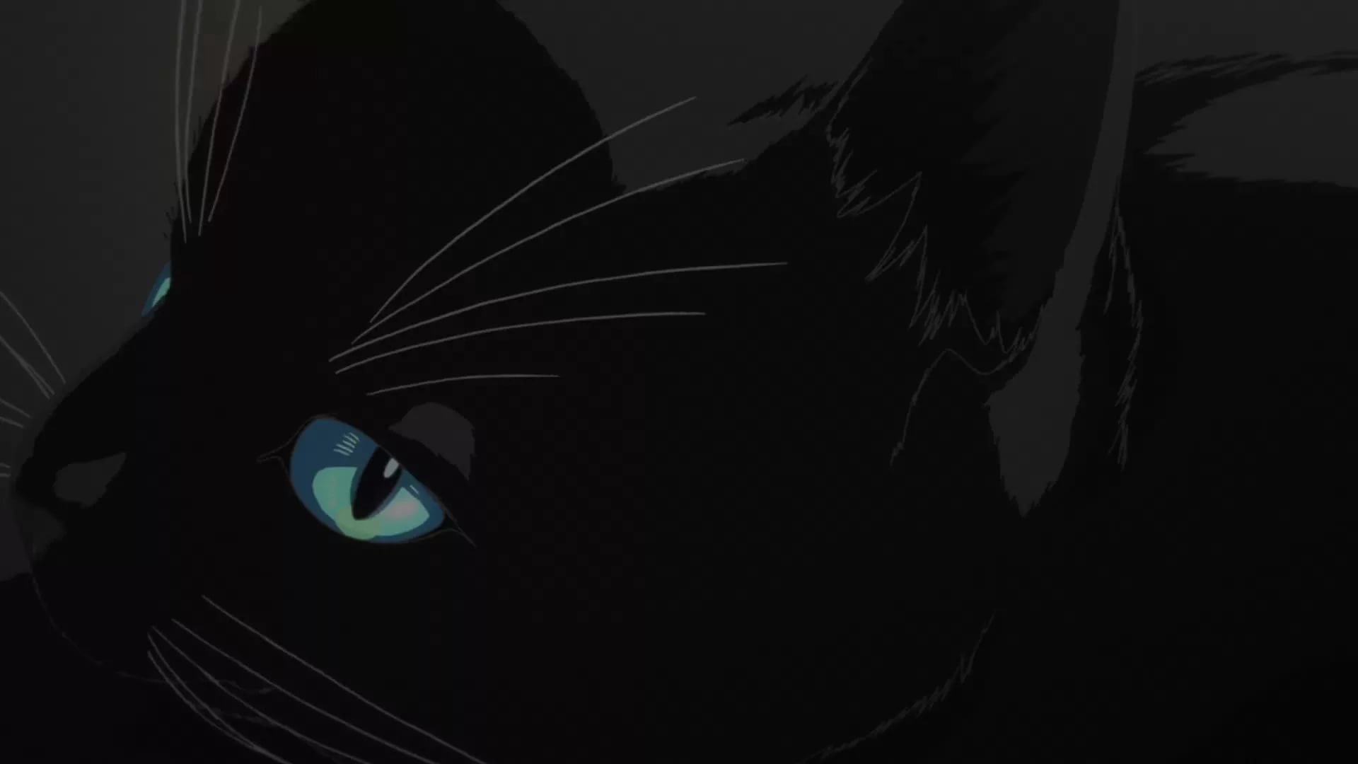 Тёмный кот аниме