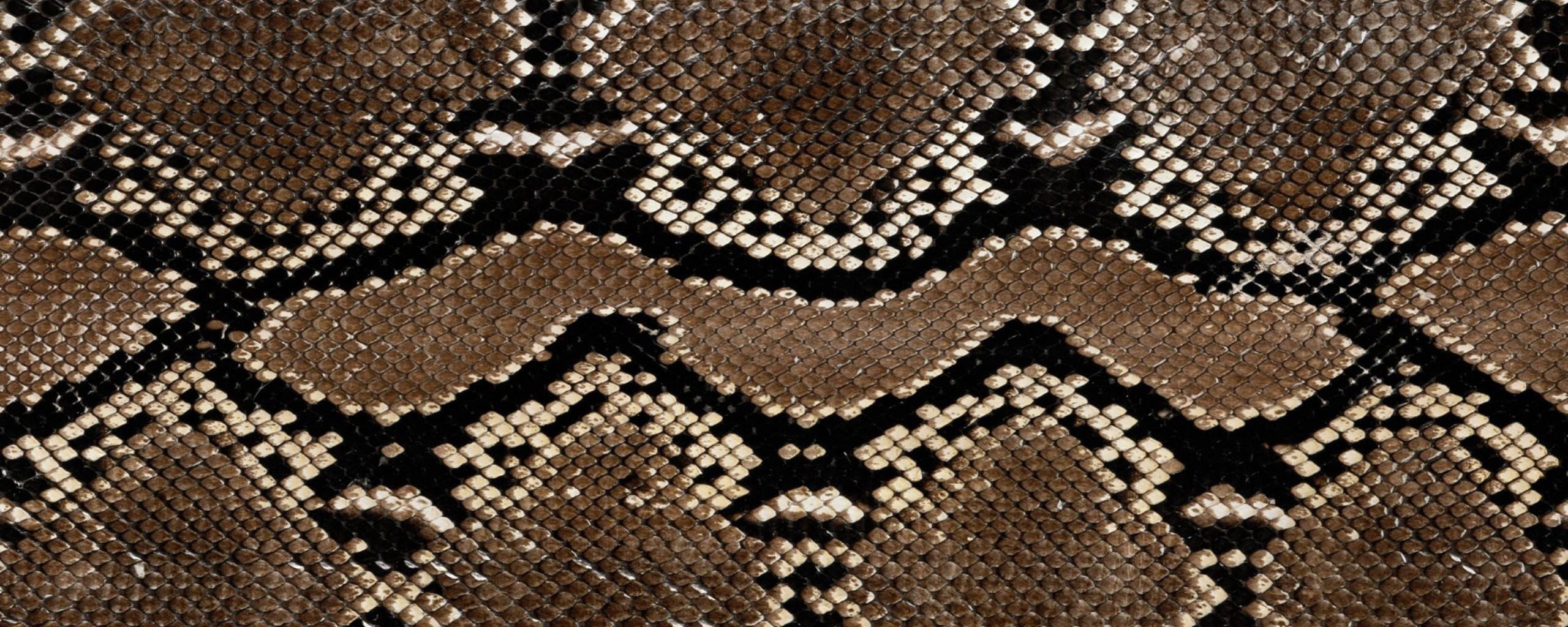 Змеиная чешуя текстура
