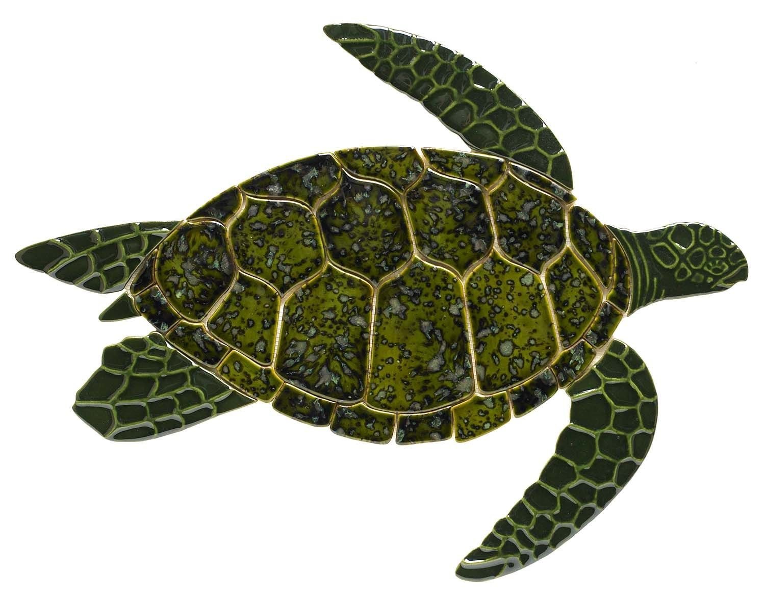 Turtle shell. Панцирь морской черепахи. Панцирь зелёной морской черепахи. Карапакса морской черепахи. Морская черепаха сбоку.