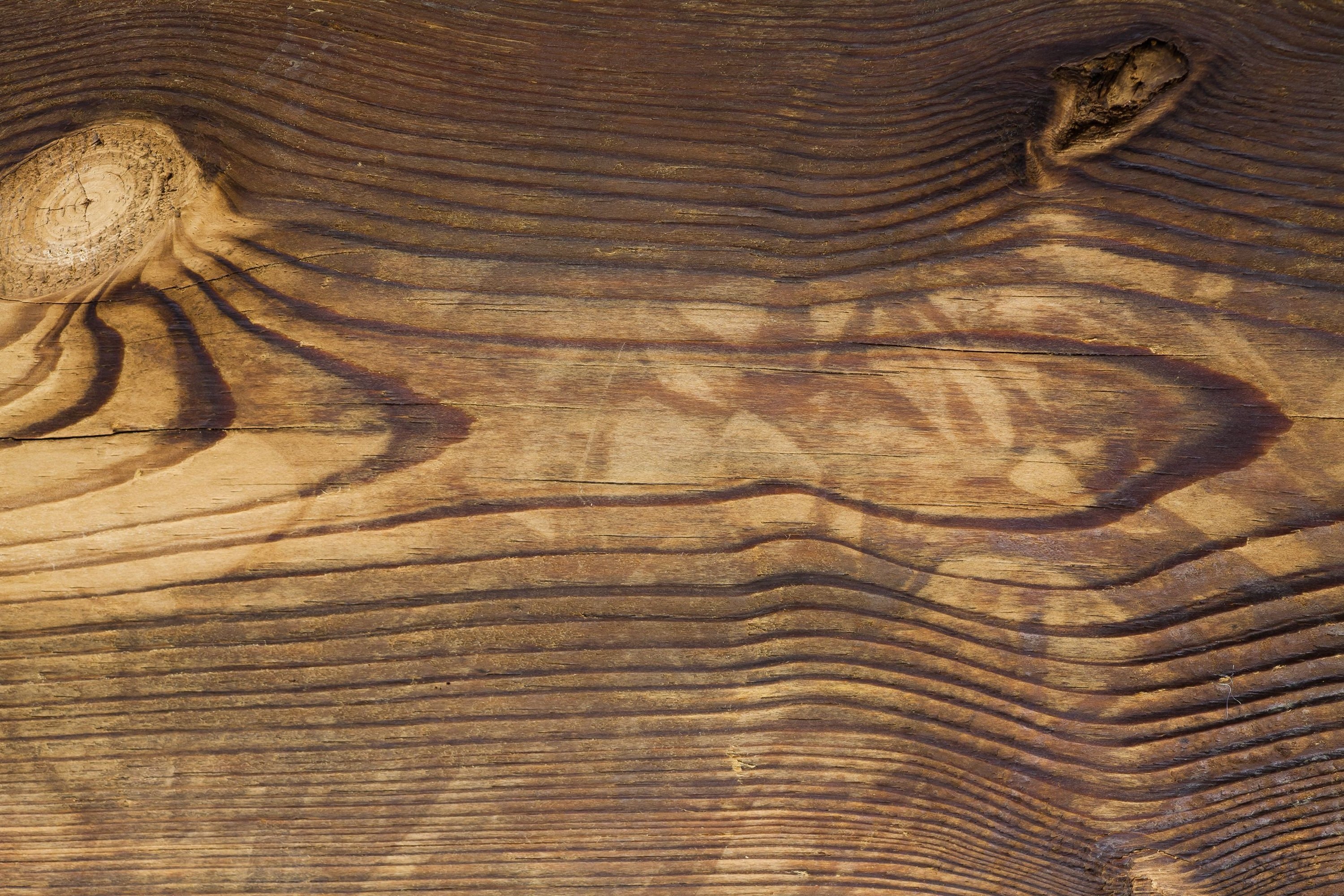 Карагач фактура древесины