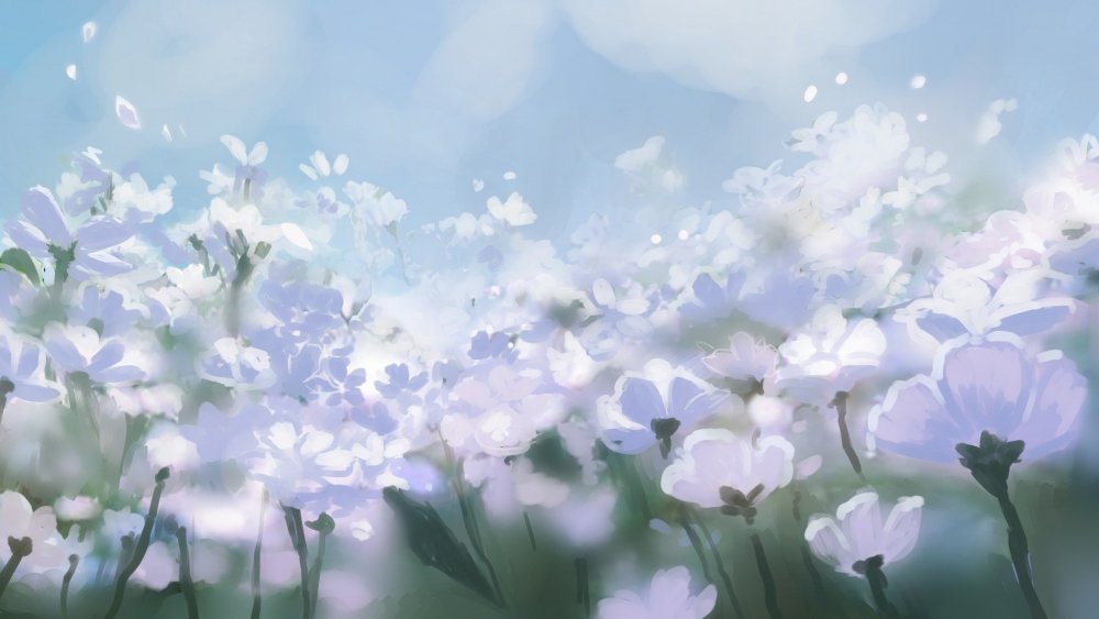 Цветочное поле аниме