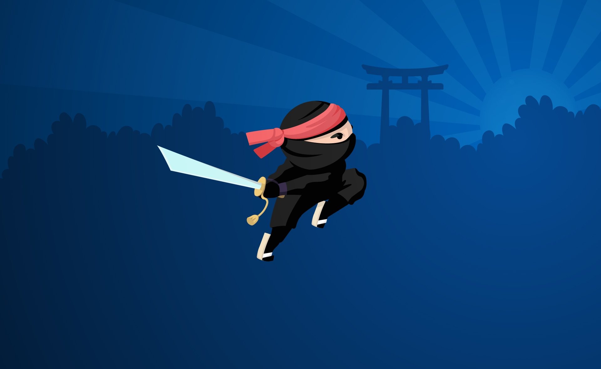 Ninja stealth стим фото 86