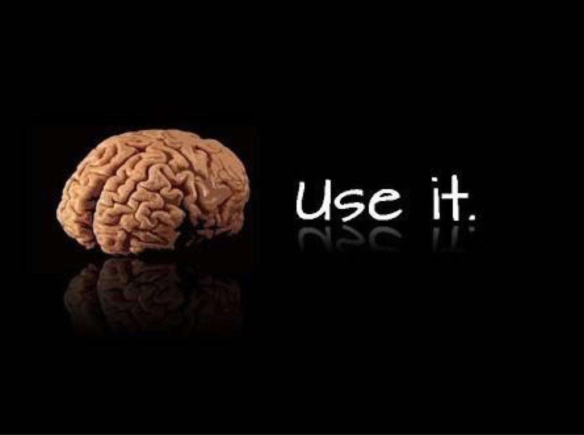 Brain 63. Мозг use it. Мозг заставка. Use it мозги. Use it картинка.