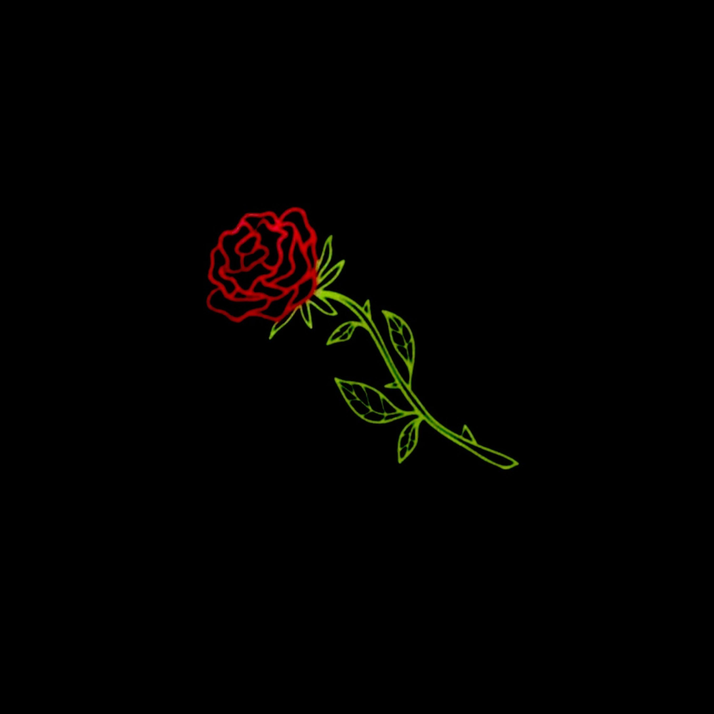 черная роза стим фото 97
