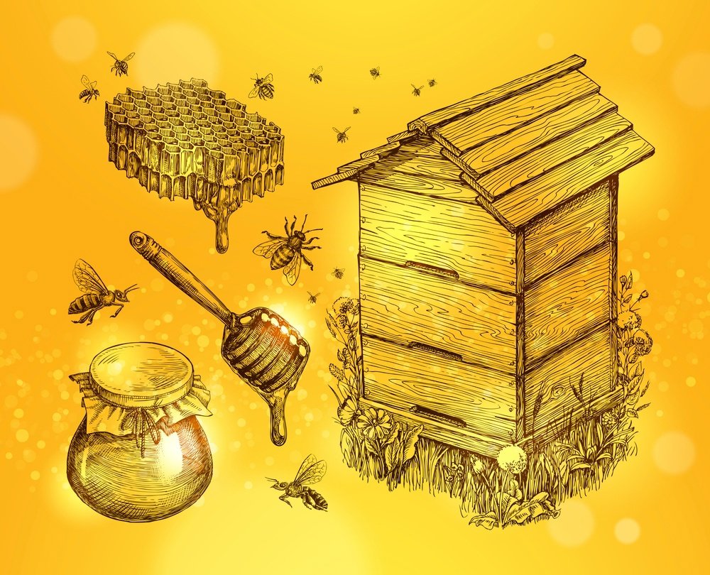 Рисование домик для пчел