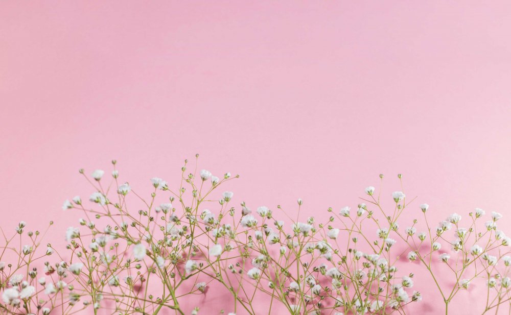 Бледно розовые мелкие цветы