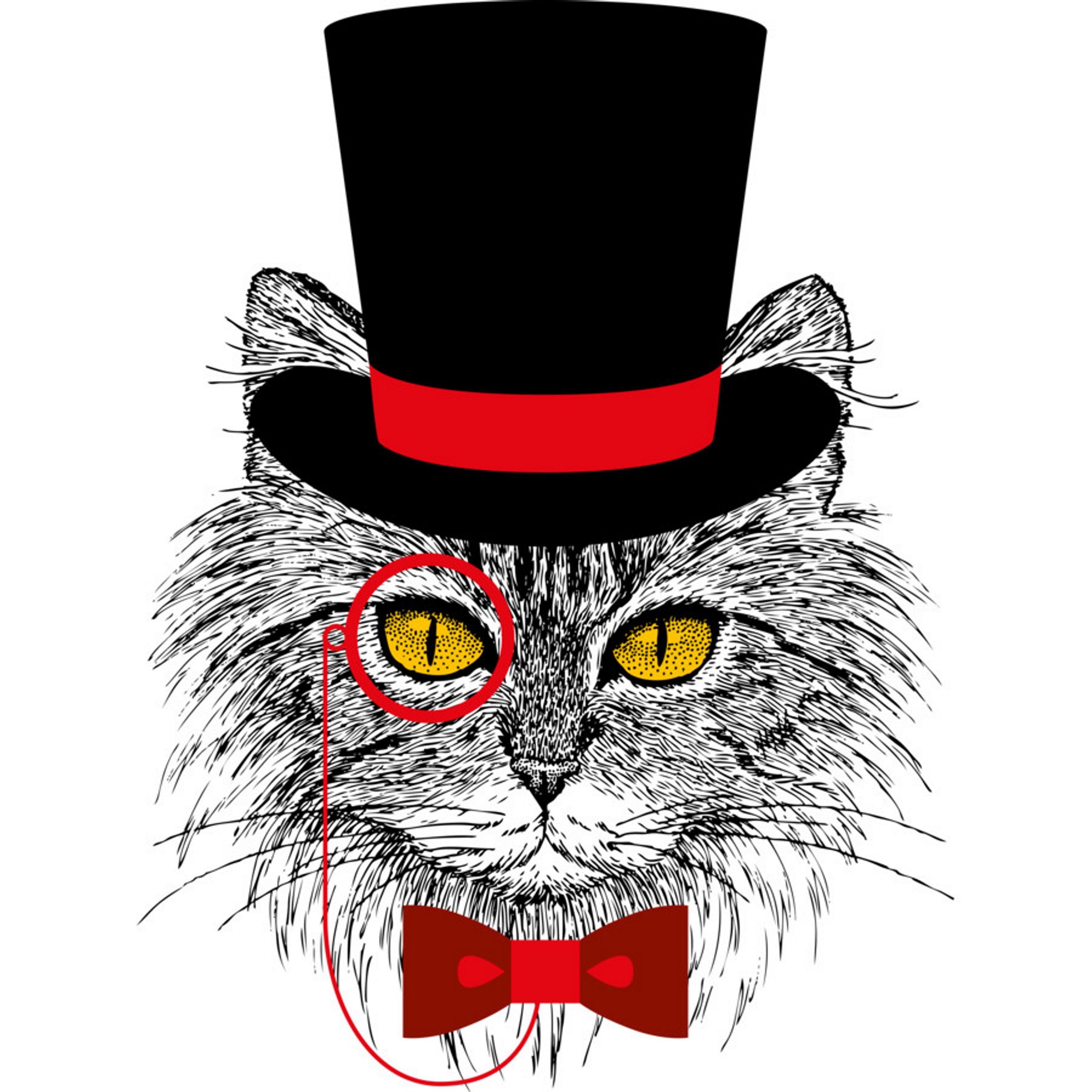 Кот джентльмен. Коты в цилиндре. Кот в шляпе. Кот в треуголке. Коты в шляпах.