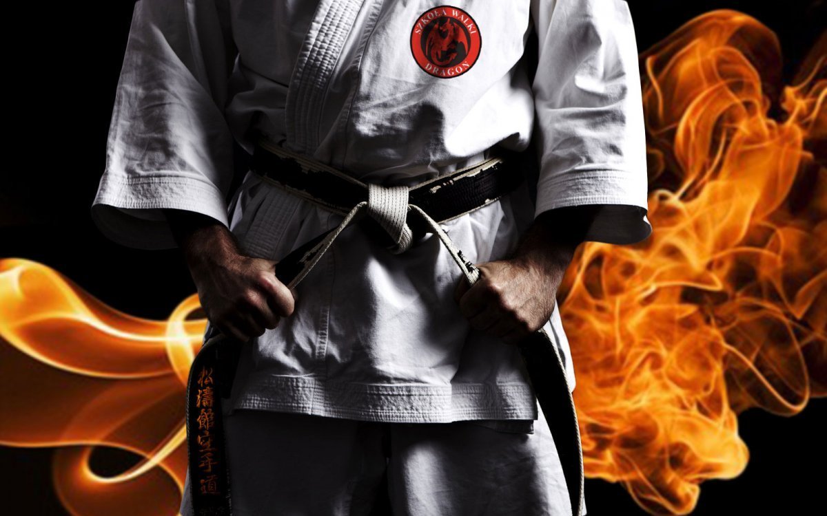 Kyokushinkai Karate вектор