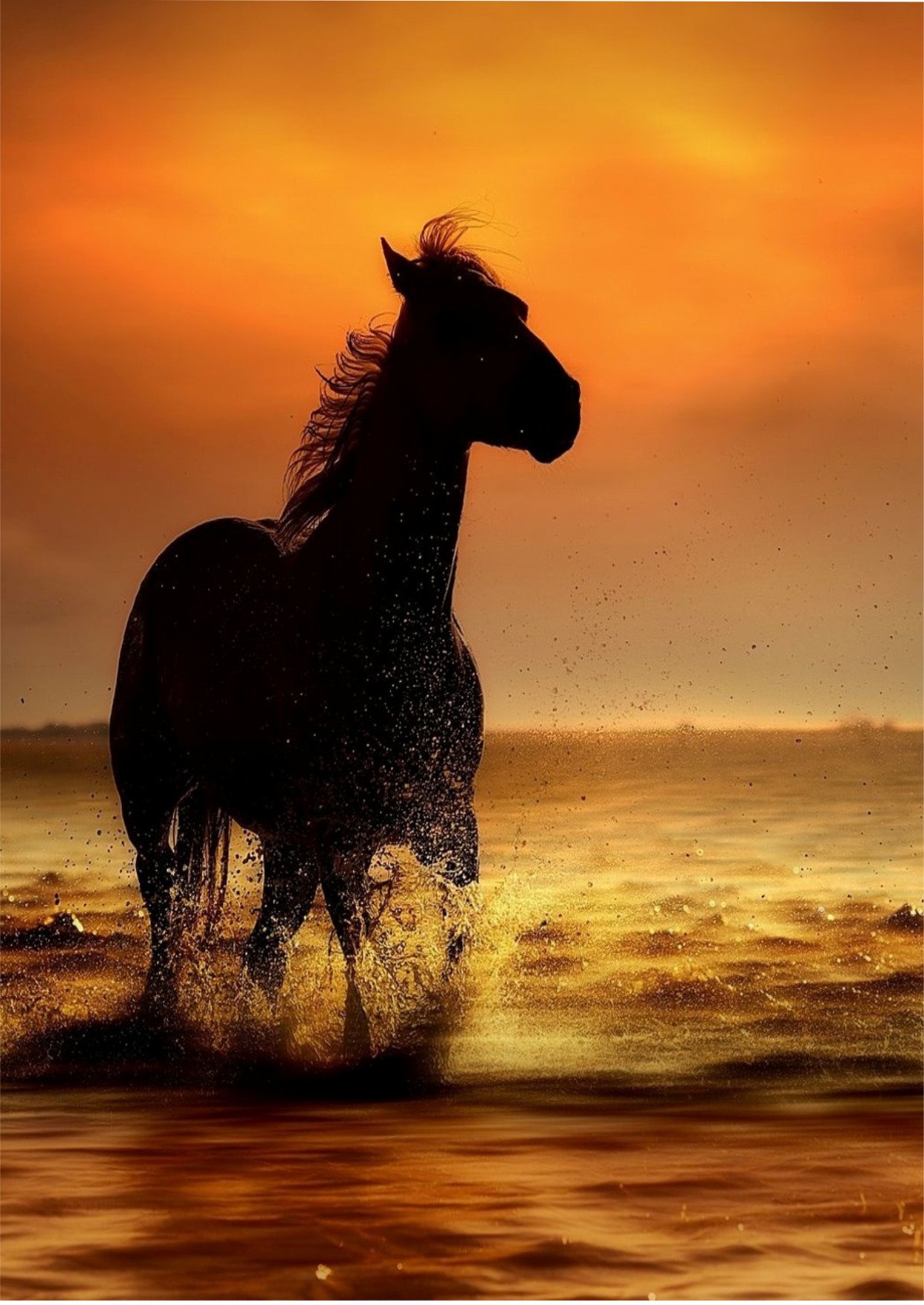 Телефон хорс. Лошади на закате. Красивые кони на закате. Красивые лошади. Красивые лошади на закате.