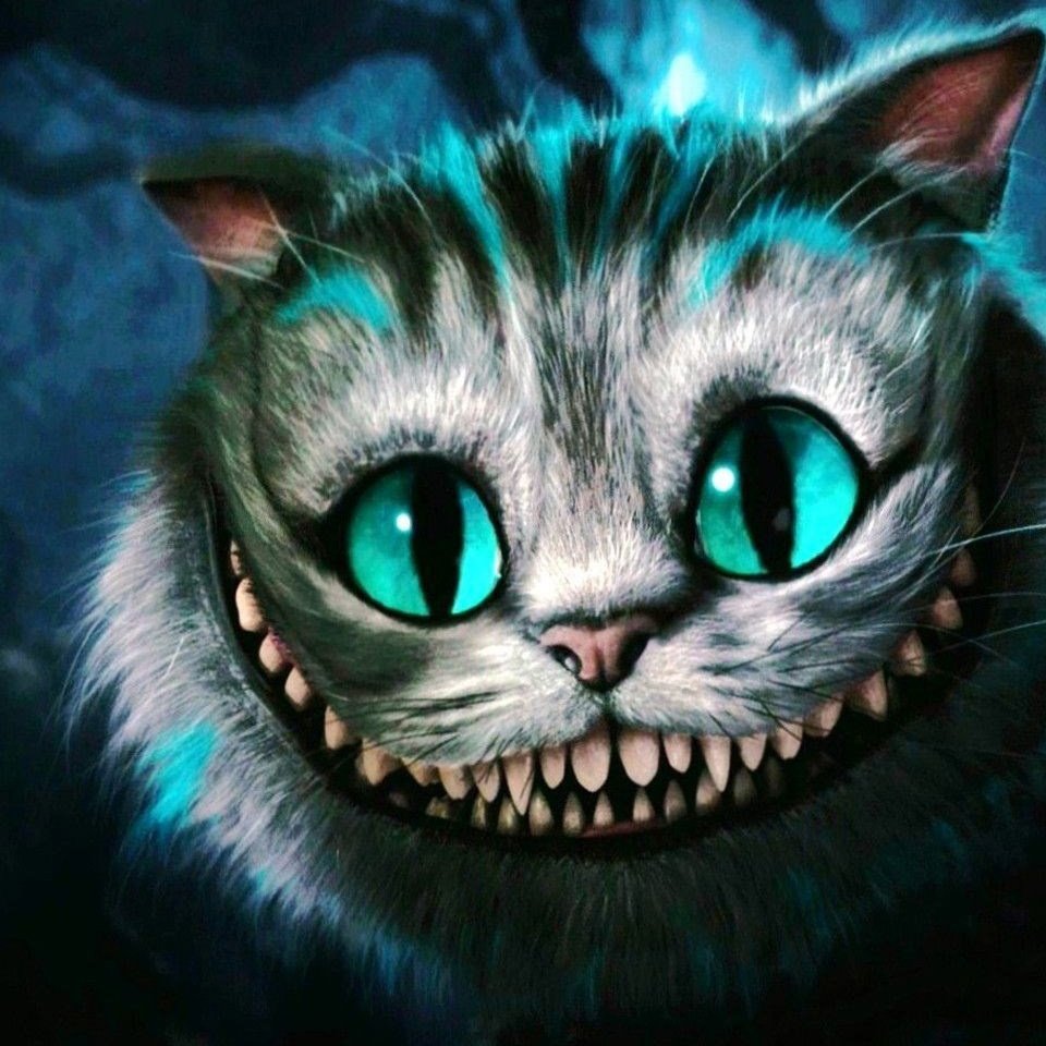 чеширский кот фото
