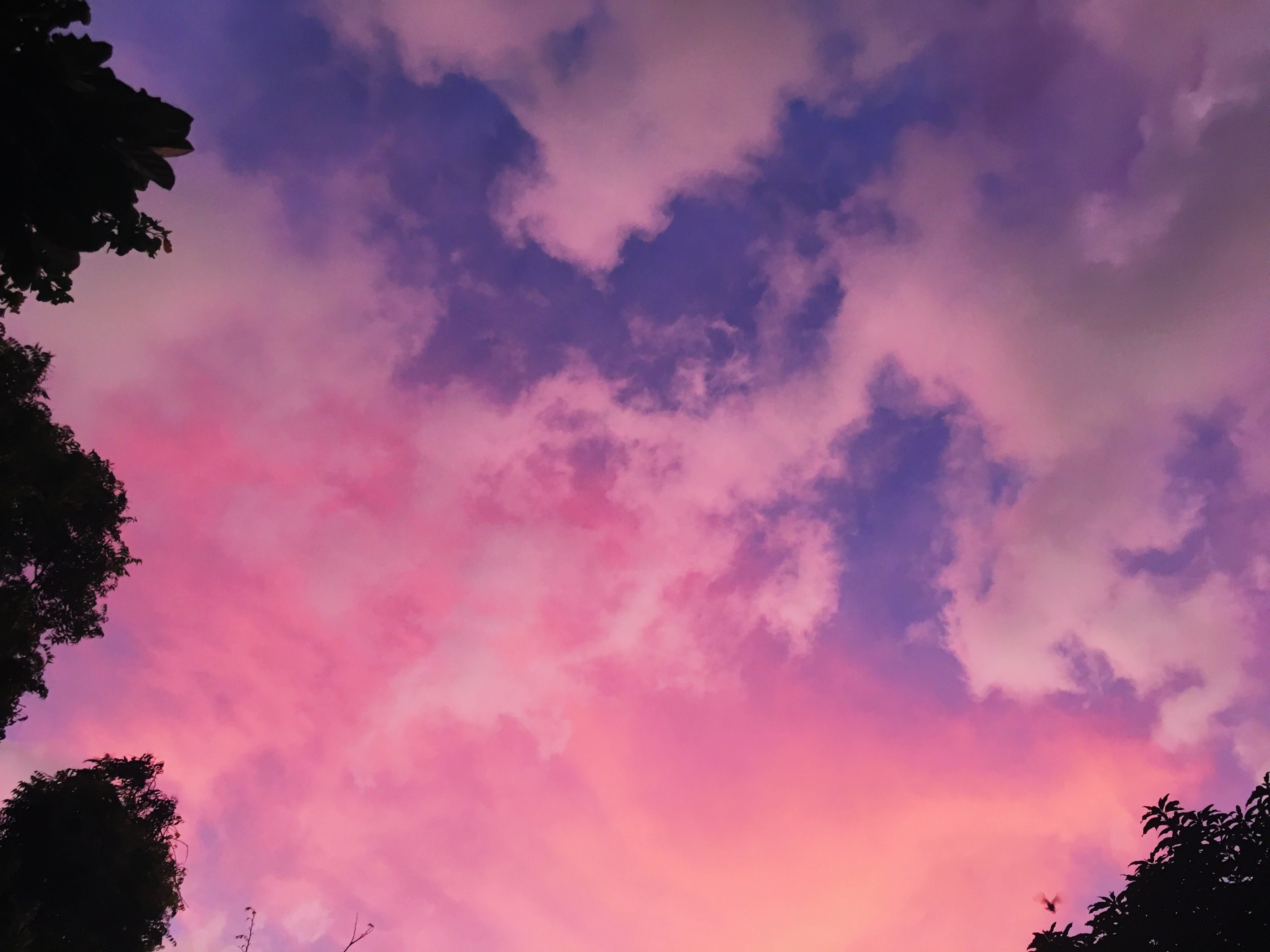 Песни миланы розовое небо. Розовое облако. Розовое небо. Розовое небо с облаками. Фиолетовое облако.