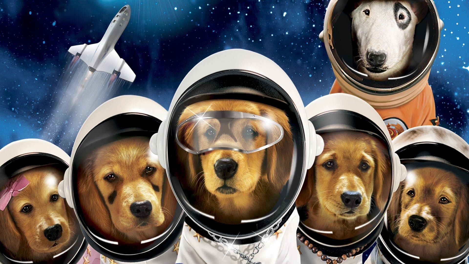 Две собаки в космосе. Космические друзья (2009). Животные в космосе. Космическая собака. Космические друзья пятерка собак.