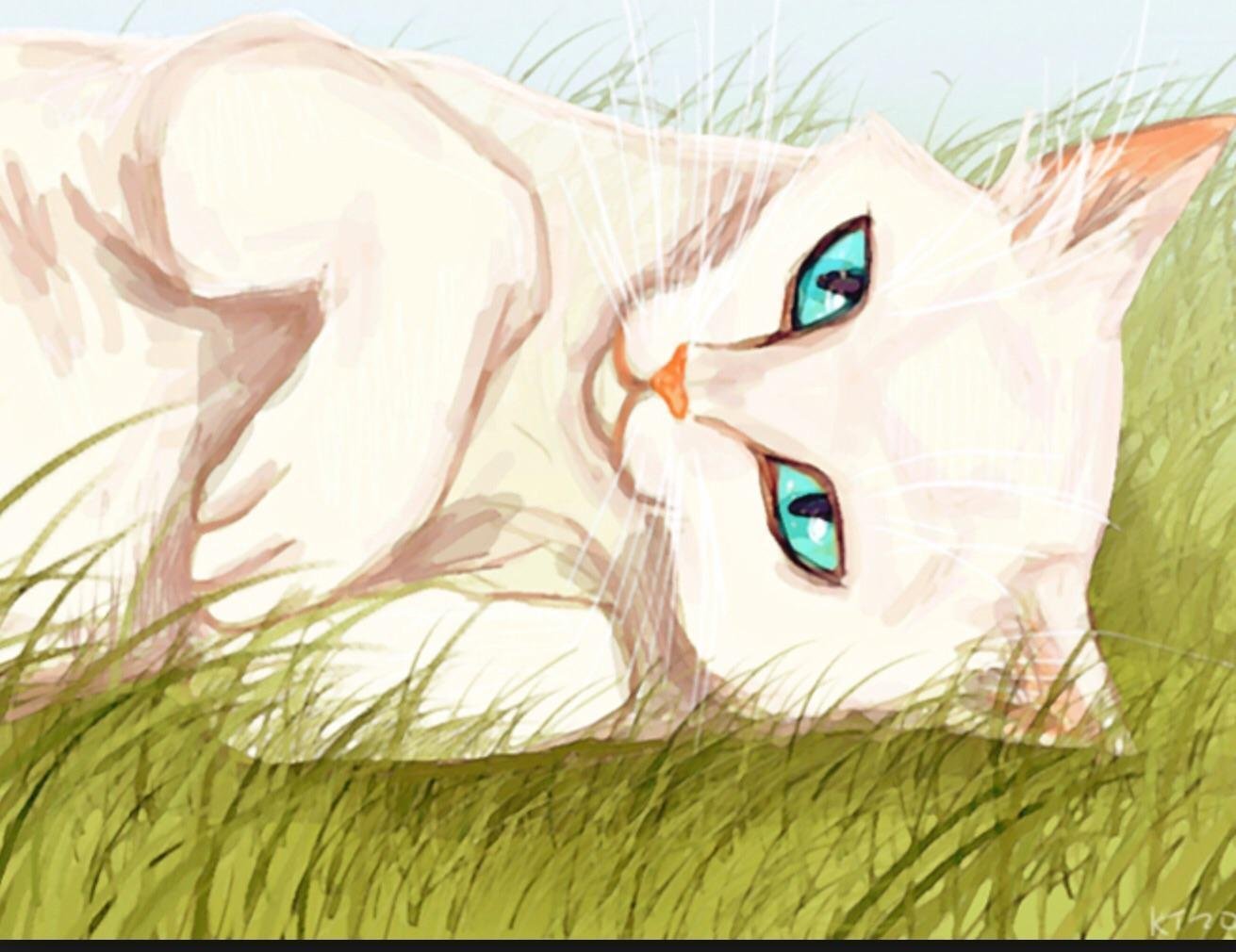 Белоснежка кот