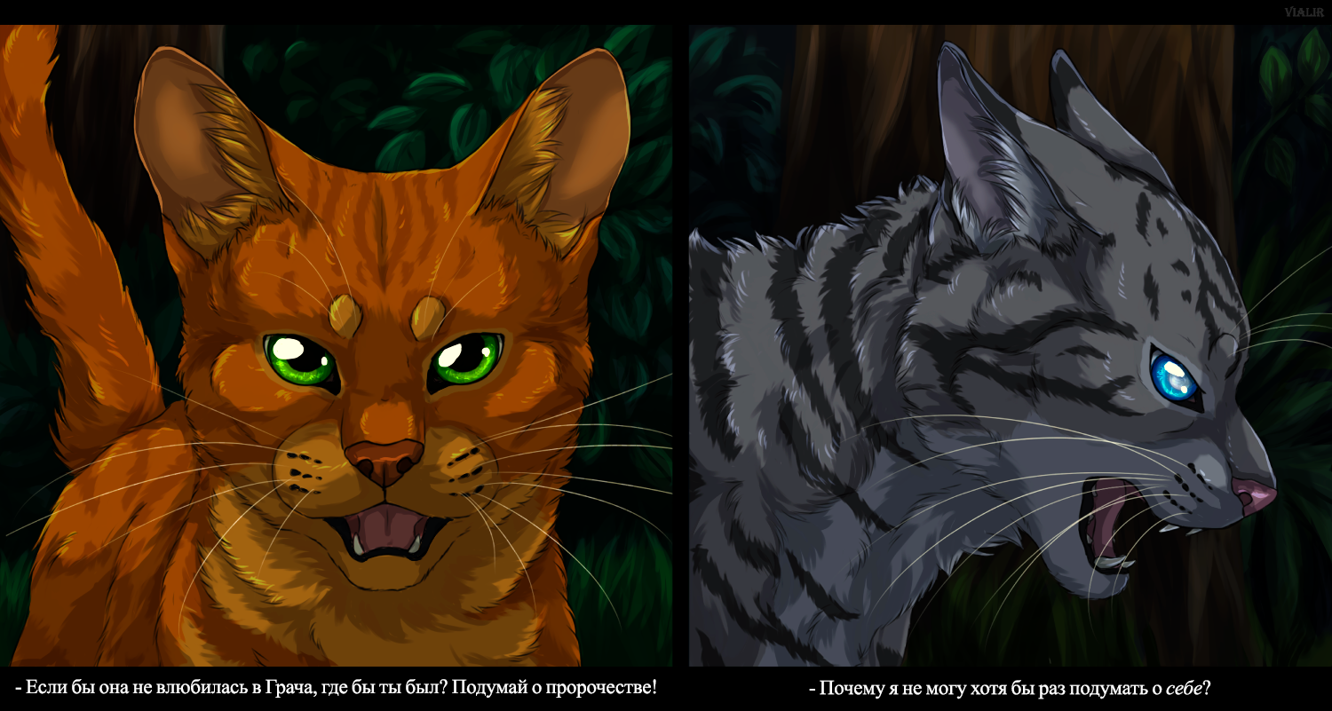 Warrior cats comic. Коты Воители Огнезвёзд. Коты Воители Огнезвезд. Коты Воители Звездоцап арт. Коты Воители огни звезд.