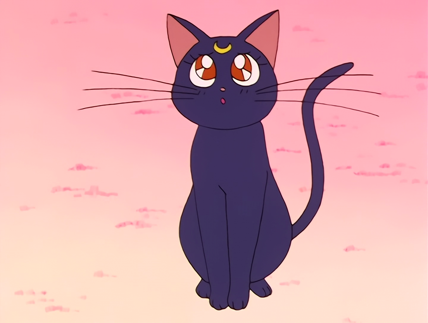 Сейлормун кошка Луна. Сейлормун Сейлор Луна кошка. Кошка Луна из Сейлор Мун. Sailor Moon Луна кошка. Кот муна