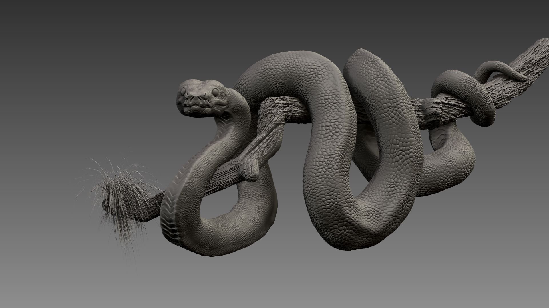 Анаконда да винчи. ТИТАНОБОА змея. Змея 3д. Змея обвивает. Змея 3d модель.