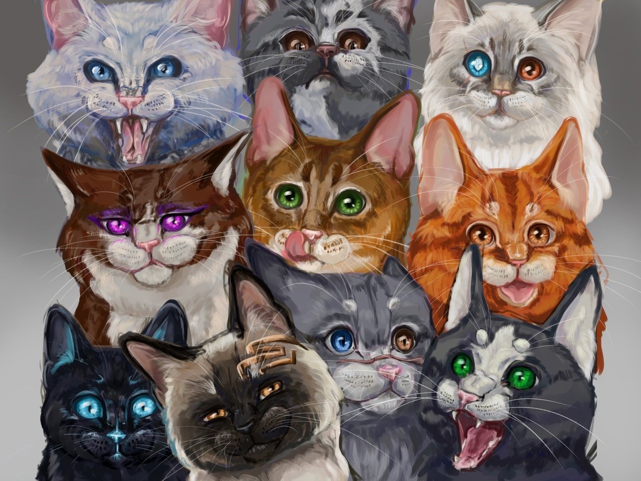 Напротив каждой кошки по три кошки. 3 Кошки арт. Картинки три кошки красивые оригинальные. Картинки элегантные 3 кошки. Изо три кошки.