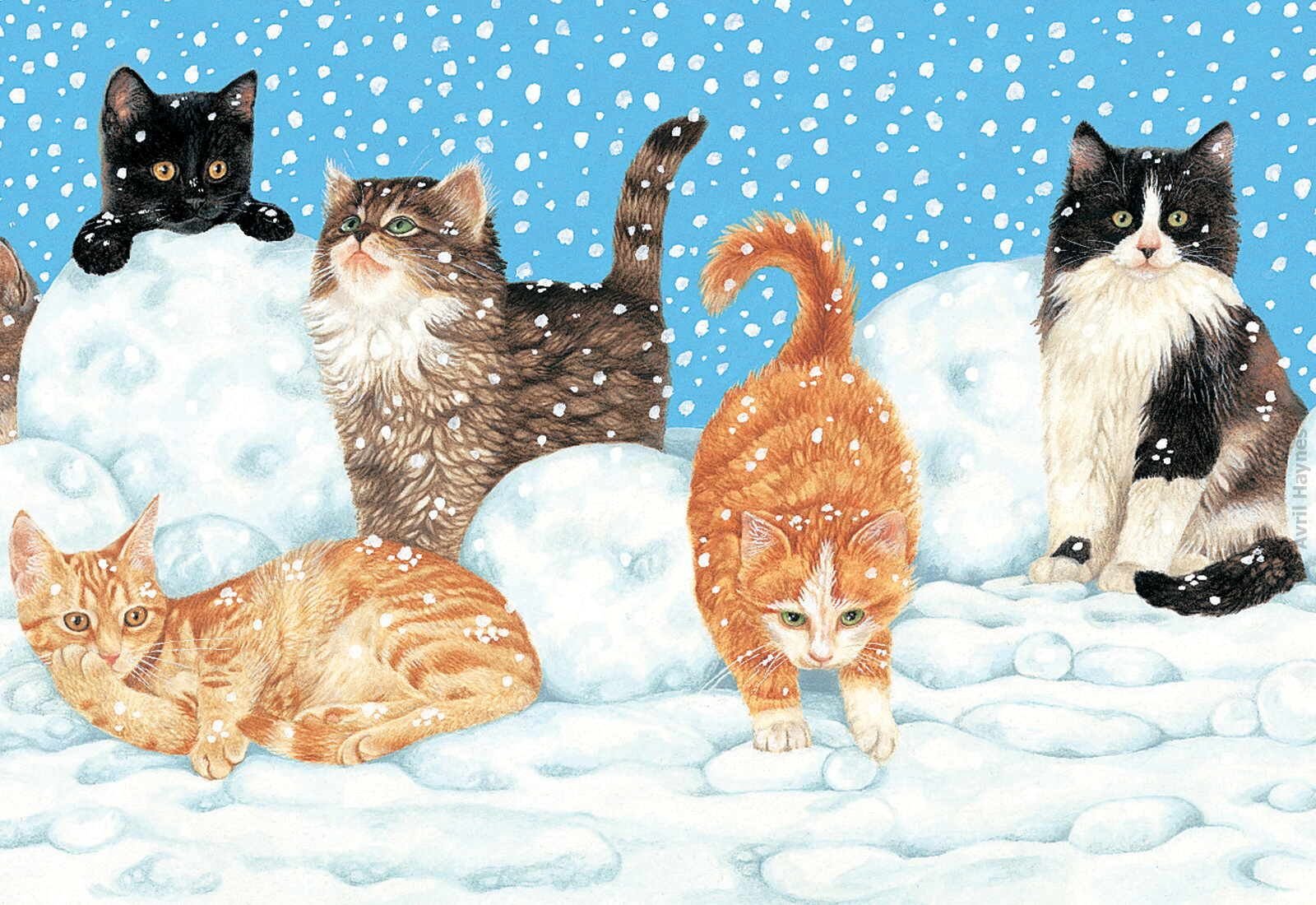 День кошек февраль. Кот зима. Рыжий кот зимой. Коты рисунки. Котята зимой.