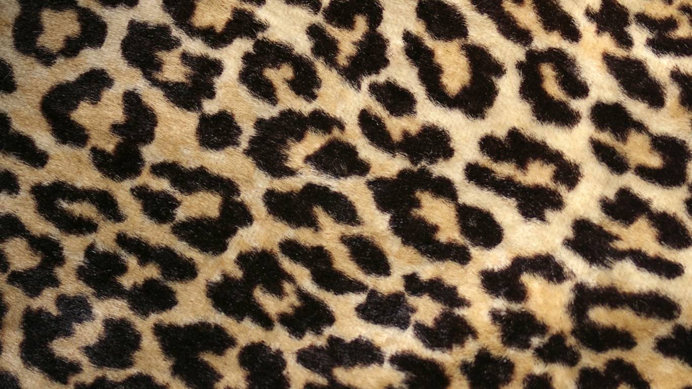Пестрая шкура. Леопардовая расцветка 2022. Шерсть леопарда. Леопардовая шкура. Обои с леопардовым принтом.
