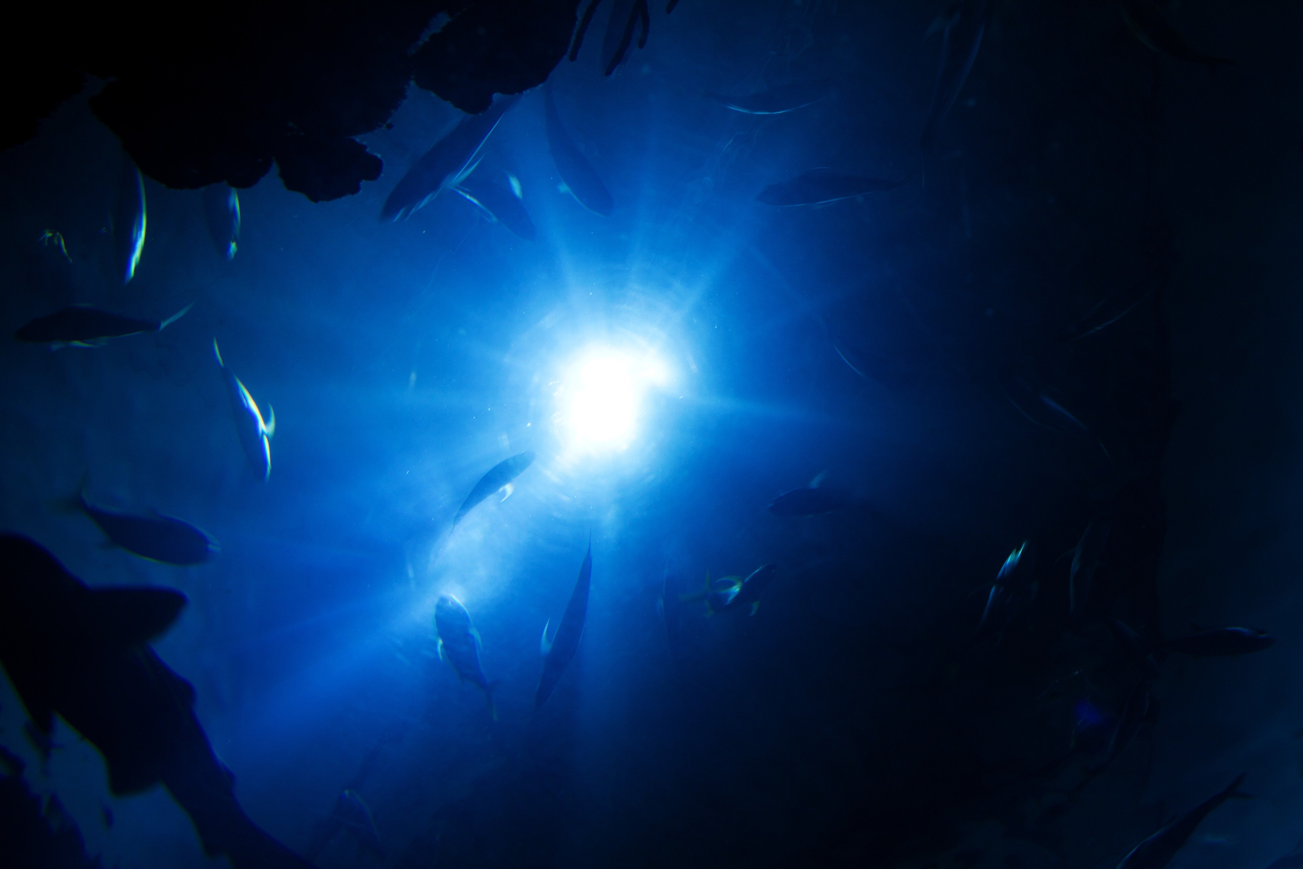 Звук морской глубины. Океаны. Глубина. Морские глубины. Подводный свет. Свет под водой.