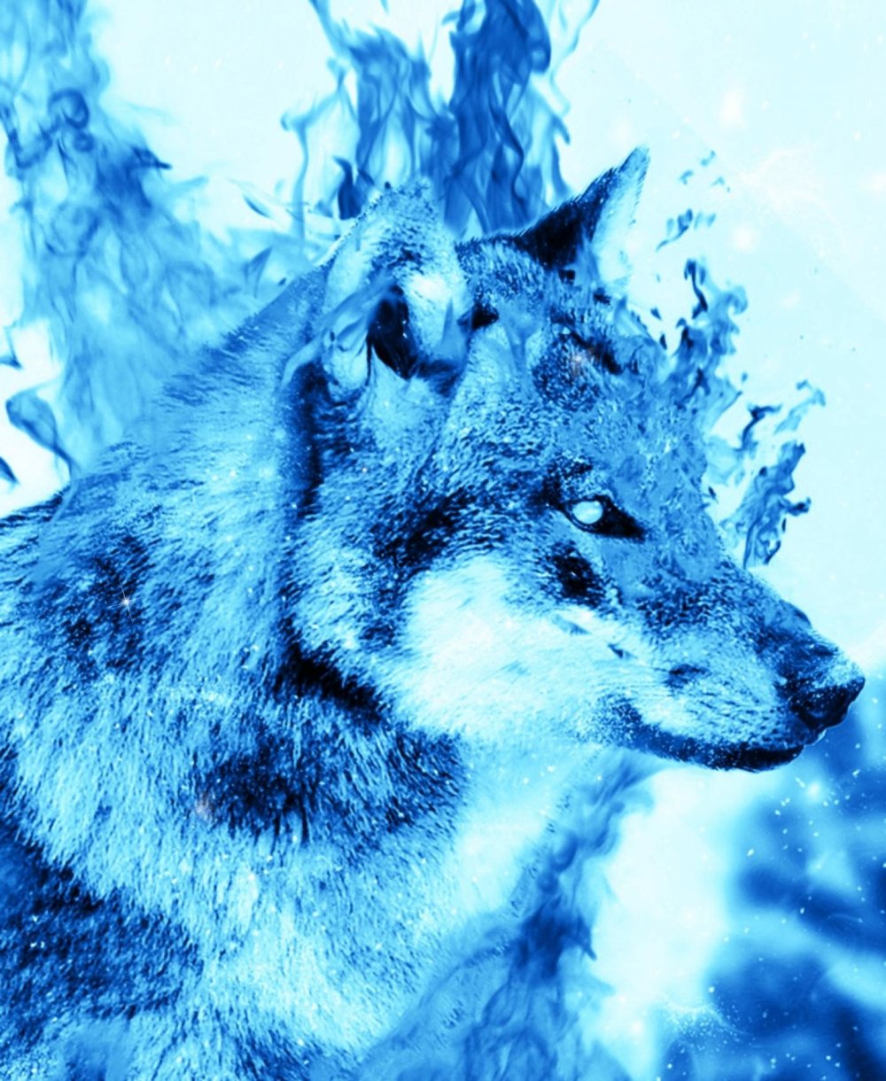ледяной волк картинки