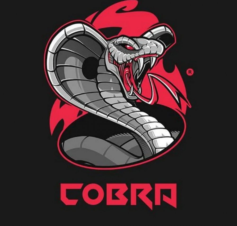Команда змейка. Логотип змеи. Кобра логотип. Кобра арт. Злая змея.