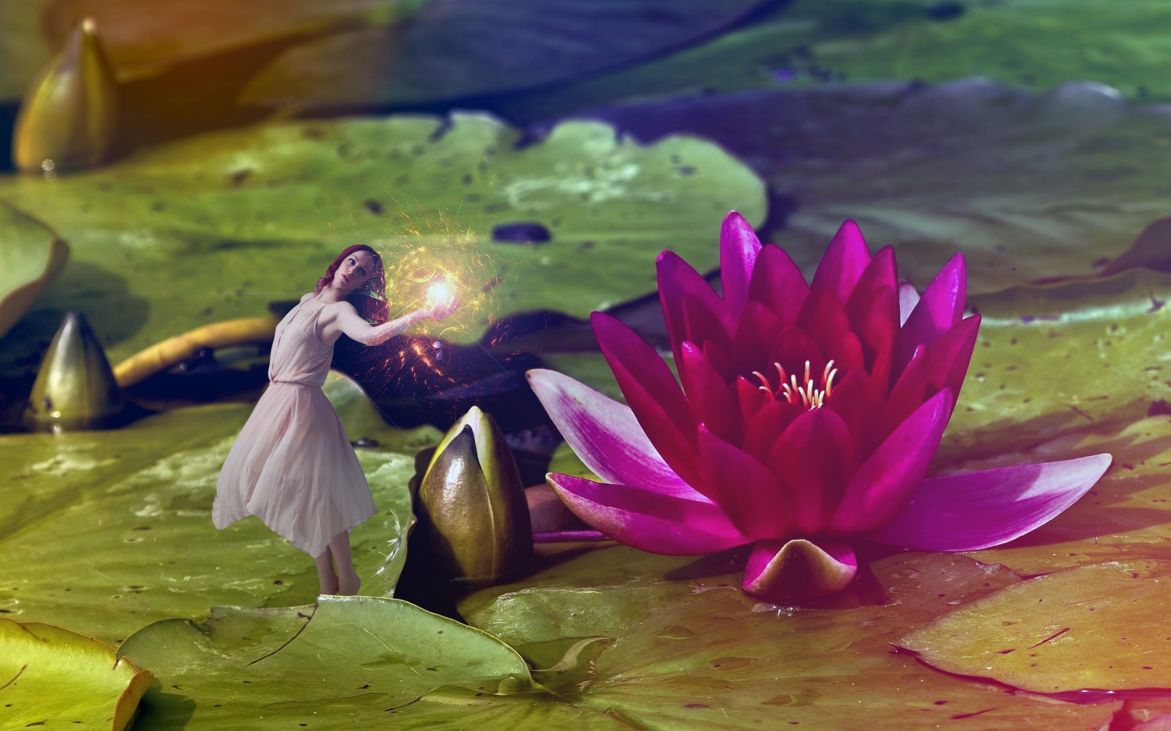 Сцены с лотосами на воде. Лиловый Лотос Легион. Сказочные цветы. Девушка с лотосом. Пруд с лотосами.