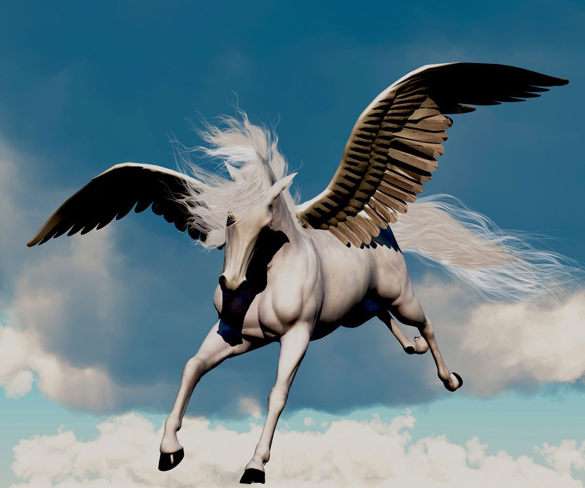 Winged horse. Пегас лошадь. Летающий конь. Фото Пегаса с крыльями.