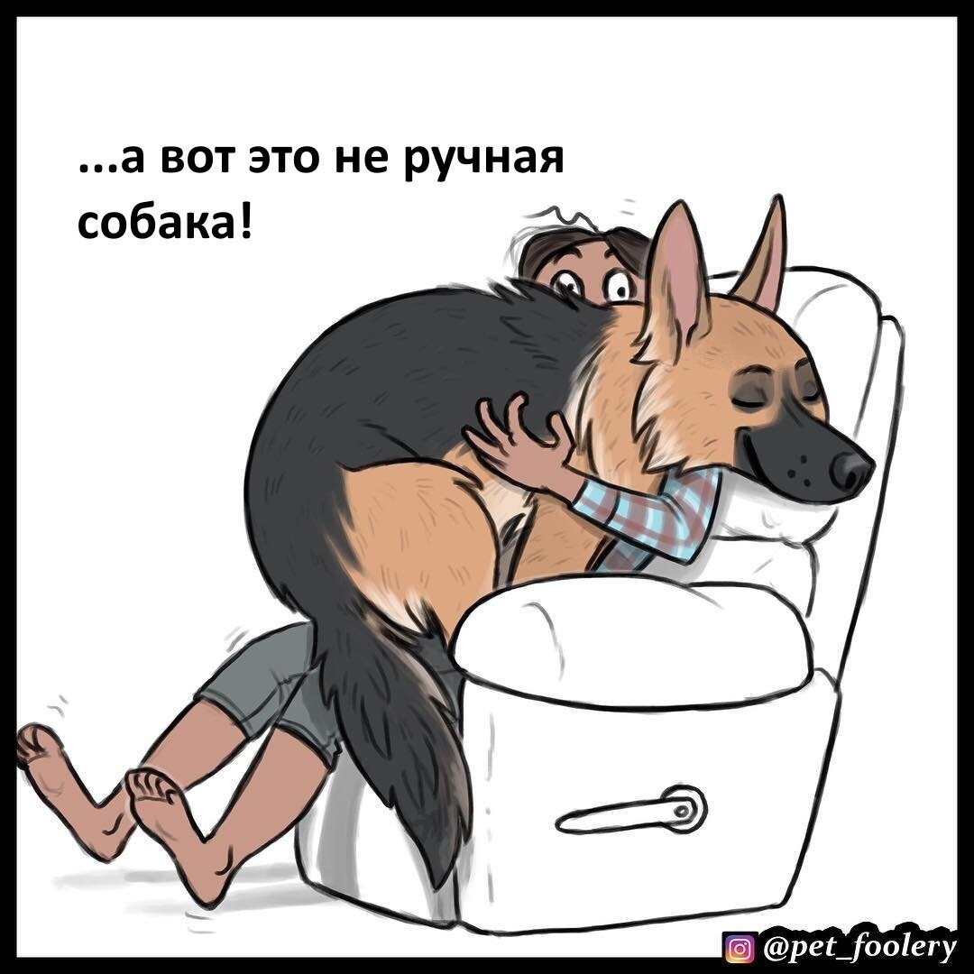 манга ручной пес фото 83