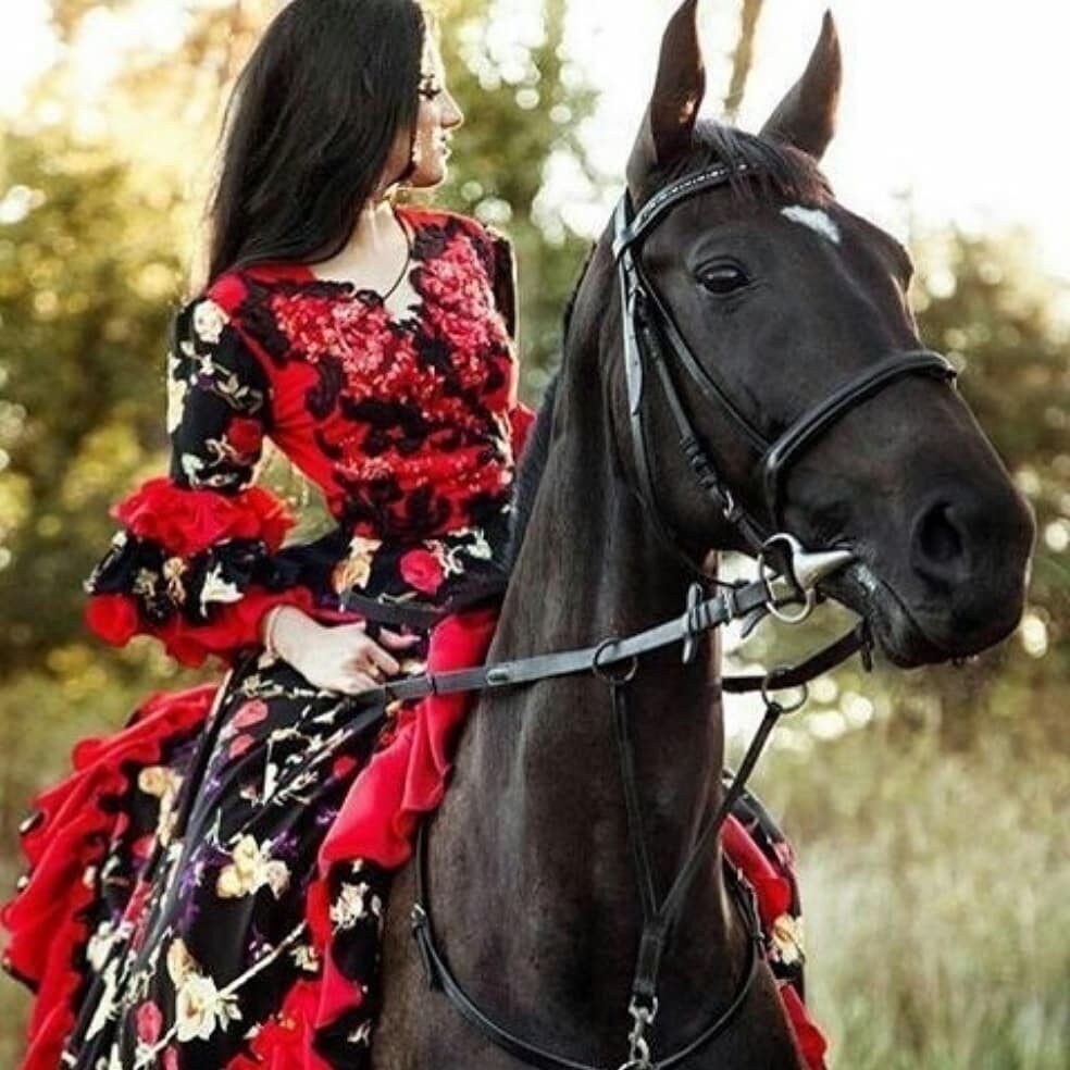 Песни цыганская королева. Цыганская группа Ромалэ. Фотосессия в цыганском стиле с лошадьми. Фотосессия с лошадью в платье. Цыганка с лошадью.