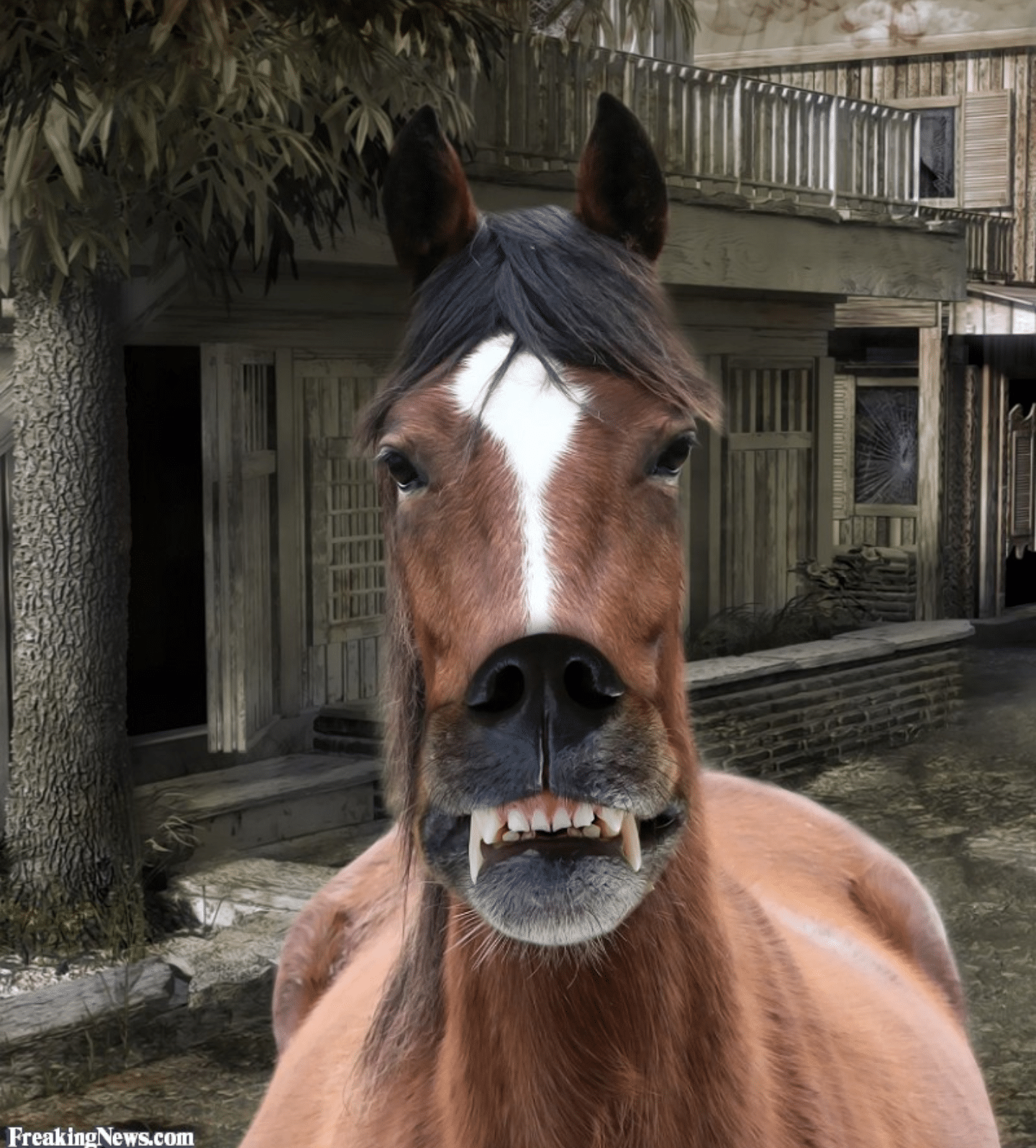 Коня жалко. Уродливый конь. Стремная лошадь.