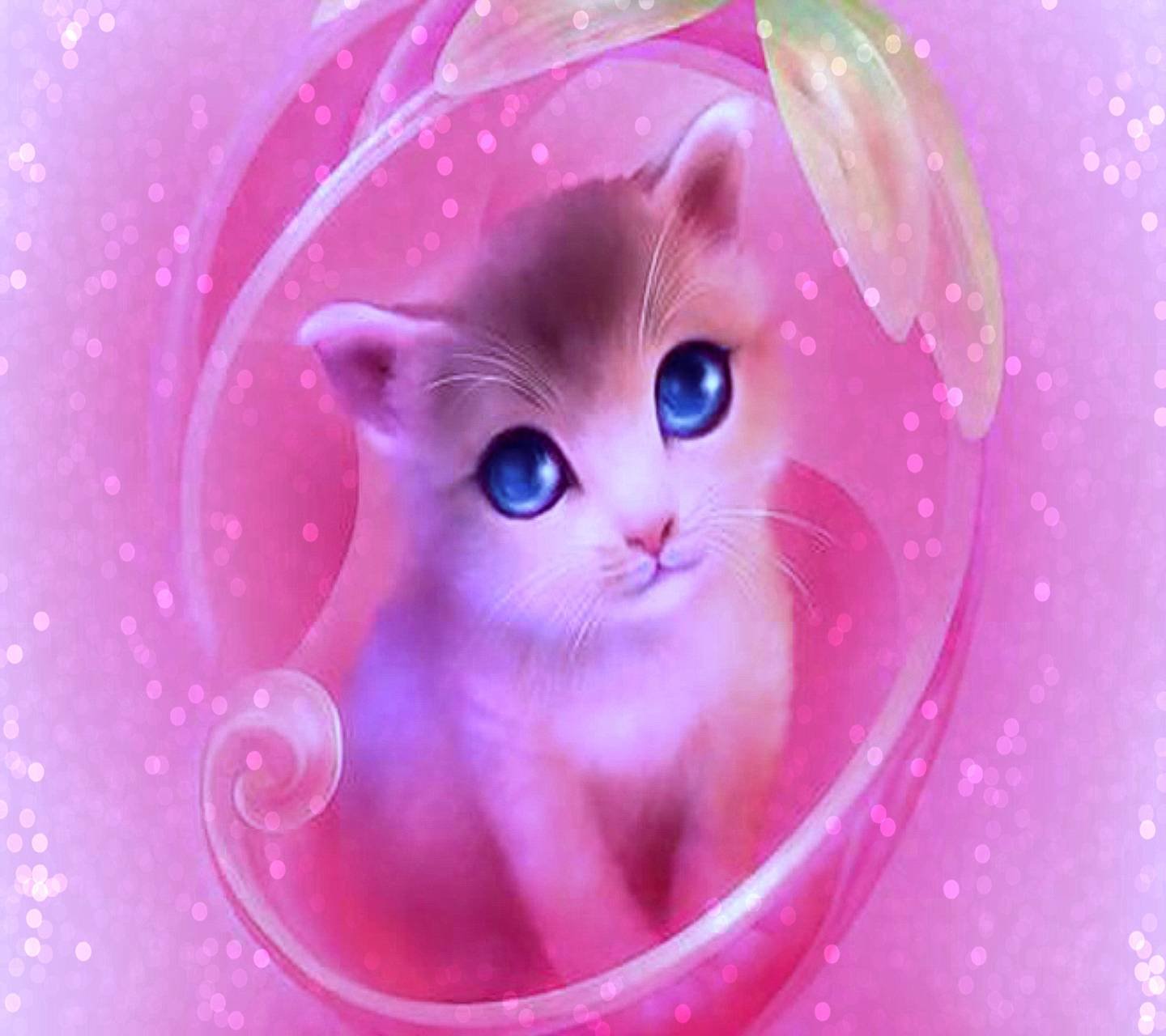 На вайбер красивую открытку. Розовая кошка. Розовый котик. Кошка на розовом фоне. Котик на розовом фоне.